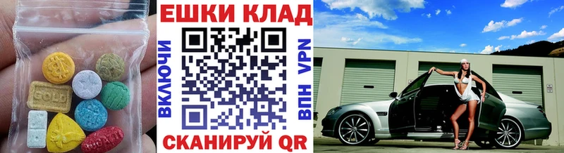 Купить закладки Зуевка ЭКСТАЗИ TESLA