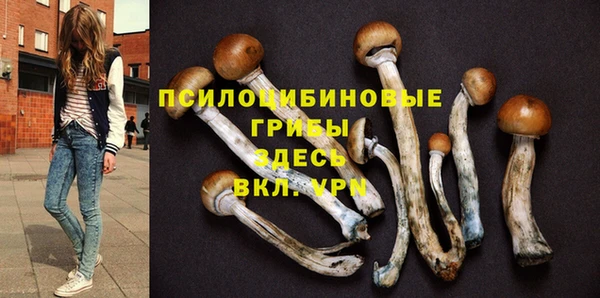 герыч Липки
