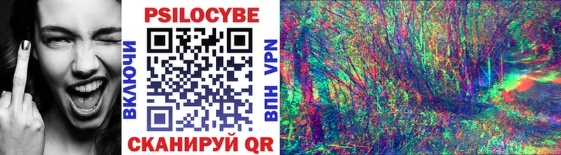 Галлюциногенные грибы мицелий Купить где Зуевка
